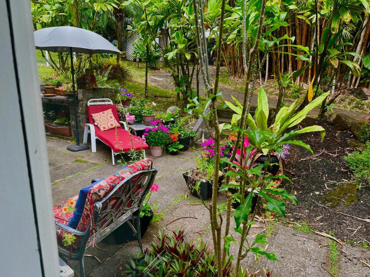 Hawi Guest House Kültér fotó