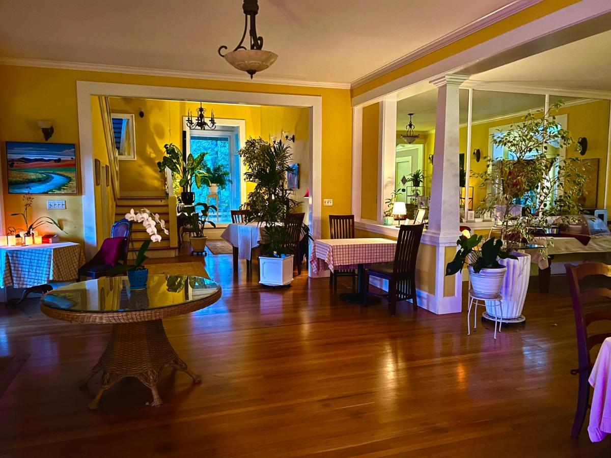 Hawi Guest House Kültér fotó