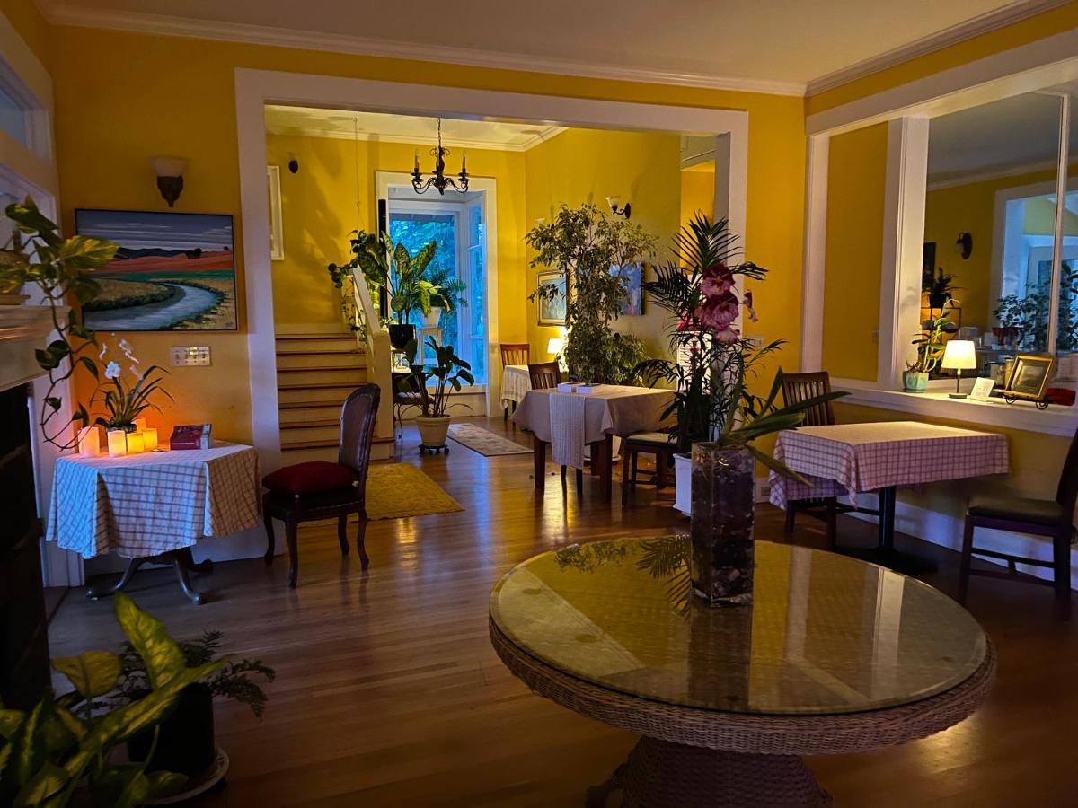 Hawi Guest House Kültér fotó